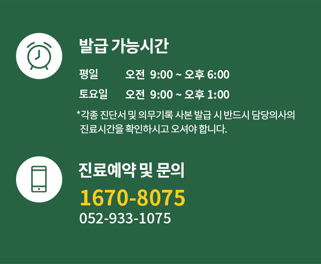 증명서 발급 가능시간